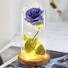 Artificial Eternal The Beast Beauty Rose Eternelle Flower In Glass Dome LED Christmas Mother&#39;s Birthday Valentines Day Gift