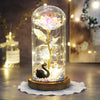 Artificial Eternal The Beast Beauty Rose Eternelle Flower In Glass Dome LED Christmas Mother&#39;s Birthday Valentines Day Gift