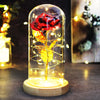 Beauty And Beast Rose LED Forever In Glass Dome Red Rose Valentine&#39;s Christmas Day Special Romantic Birthday Gift For Girlfriend
