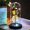 Beauty And Beast Rose LED Forever In Glass Dome Red Rose Valentine&#39;s Christmas Day Special Romantic Birthday Gift For Girlfriend