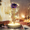 Beauty And Beast Rose LED Forever In Glass Dome Red Rose Valentine&#39;s Christmas Day Special Romantic Birthday Gift For Girlfriend