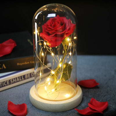 Beauty And Beast Rose LED Forever In Glass Dome Red Rose Valentine&#39;s Christmas Day Special Romantic Birthday Gift For Girlfriend