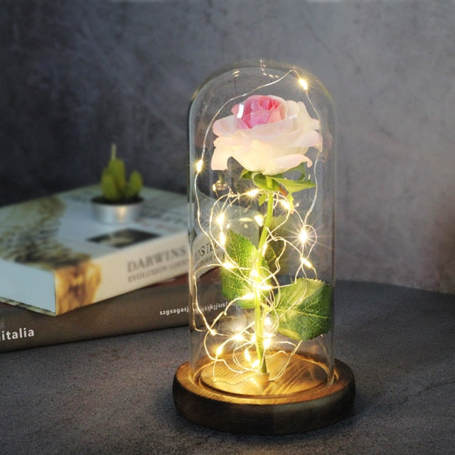 Beauty And Beast Rose LED Forever In Glass Dome Red Rose Valentine's Christmas Day Special Romantic Birthday Gift For Girlfriend