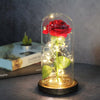 Beauty And Beast Rose LED Forever In Glass Dome Red Rose Valentine&#39;s Christmas Day Special Romantic Birthday Gift For Girlfriend