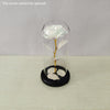 Eternal Red Rose In LED Glass Dome Gold Foil Flower Forever Rose New Year Valentine&#39;S Day Wedding Gift For Girlfriend Lover